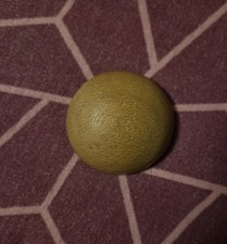 Antiker Stopfpilz ca.1880/